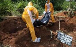 5459 نفر، آخرین آمار قربانیان ابولا در دنیا