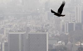 هوای تهران برای دومین روز متوالی آلوده است/افزایش شاخص آلودگی هوا در پایتخت