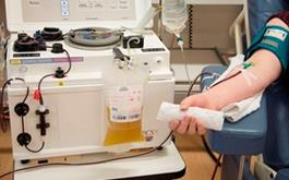 اهدای پلاسمای خون توسط 103 نفر بهبود یافته از کرونا