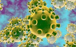 آنچه باید درباره کرونا ویروس ۲۰۱۹ بدانیم 