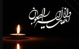 پیام تسلیت رئیس شورای عالی نظام پزشکی به مناسبت درگذشت دکتر عباس شیبانی