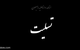 پیام تسلیت محمد رضا عارف به مناسبت درگذشت نایب رئیس شورای عالی نظام پزشکی