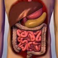 نایب رییس جامعه پزشکان متخصص داخلی ایران: تخصص داخلی حلقه مفقود شده درمان و نظام ارجاع در کشور