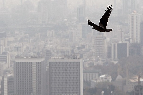 هوای تهران برای دومین روز متوالی آلوده است/افزایش شاخص آلودگی هوا در پایتخت