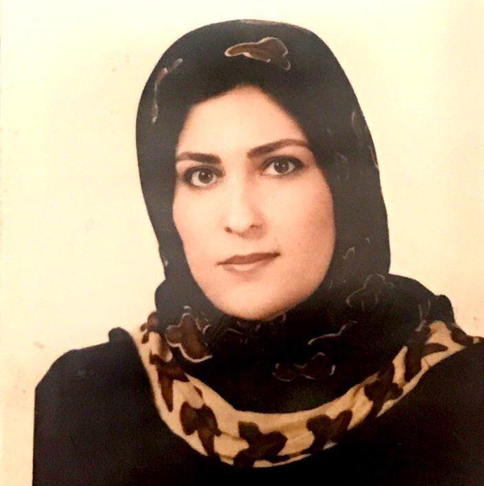 گزارشی درباب بررسی شورایعالی بر روی نحوه اجرای طرح پزشک خانواده