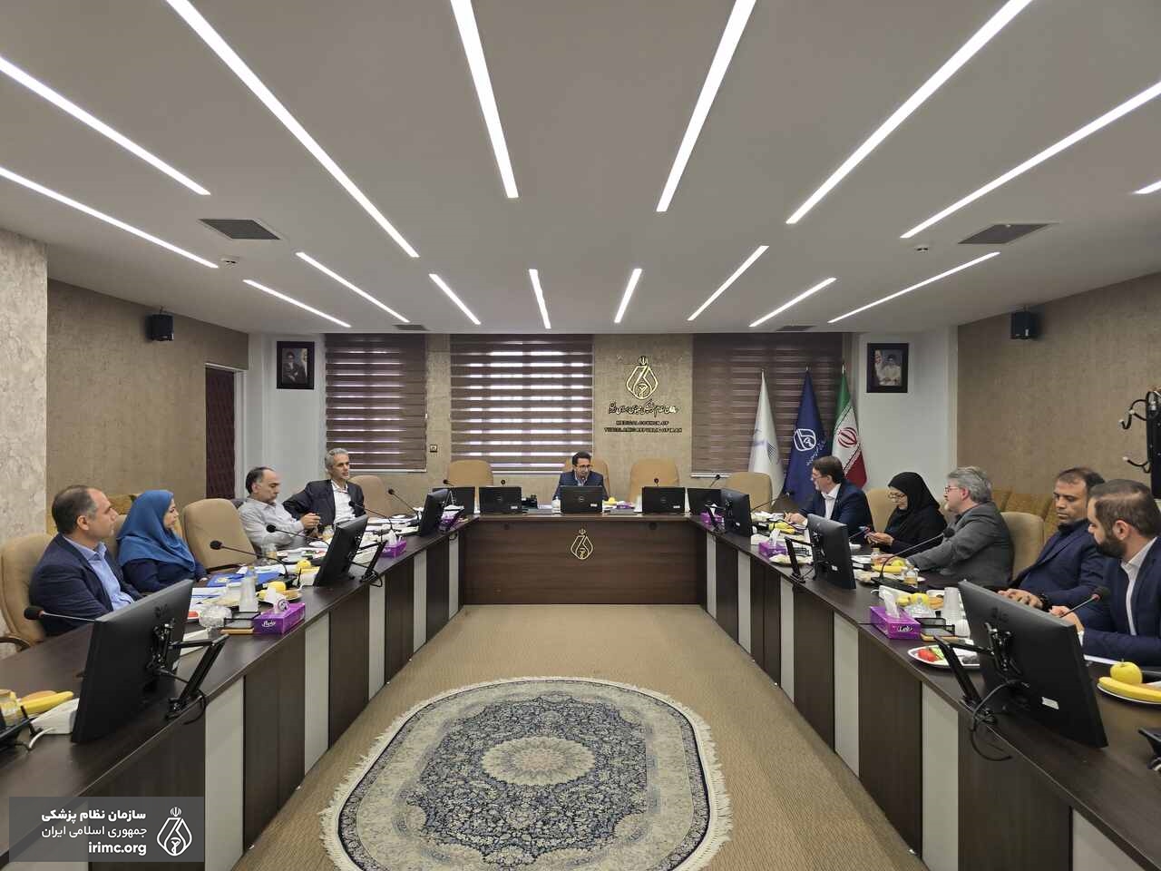 جلسه سازمان های بیمه گر پایه و مکمل با سازمان نظام پزشکی